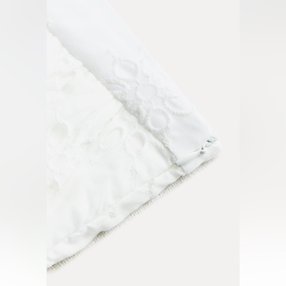 New ZARA Embroidered Eyelet Midi Skirt ZW Collection - Picture 8 of 9
